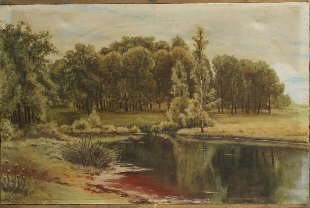 Forest landscape with a lake