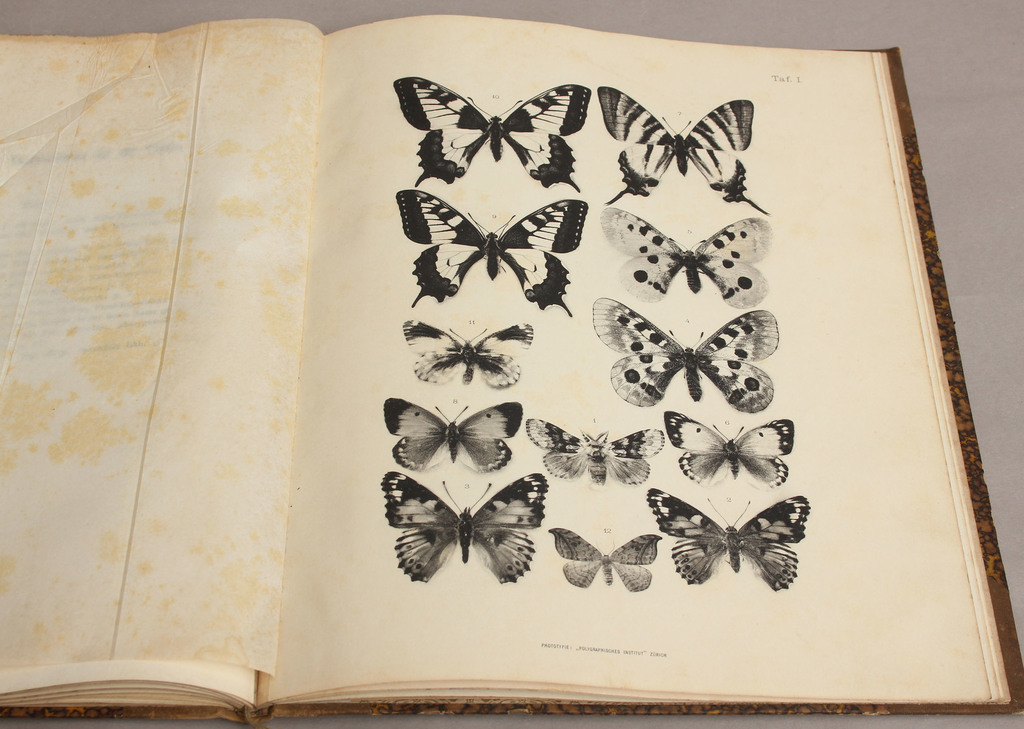 M.Standfuss, Experimentelle zoologische Studien mit Lepidopteren(zinātniska grāmata par taureņiem)