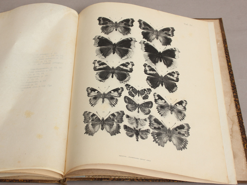  M.Standfuss, Experimentelle zoologische Studien mit Lepidopteren(zinātniska grāmata par taureņiem)