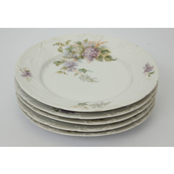 Porcelain plates 5 pcs