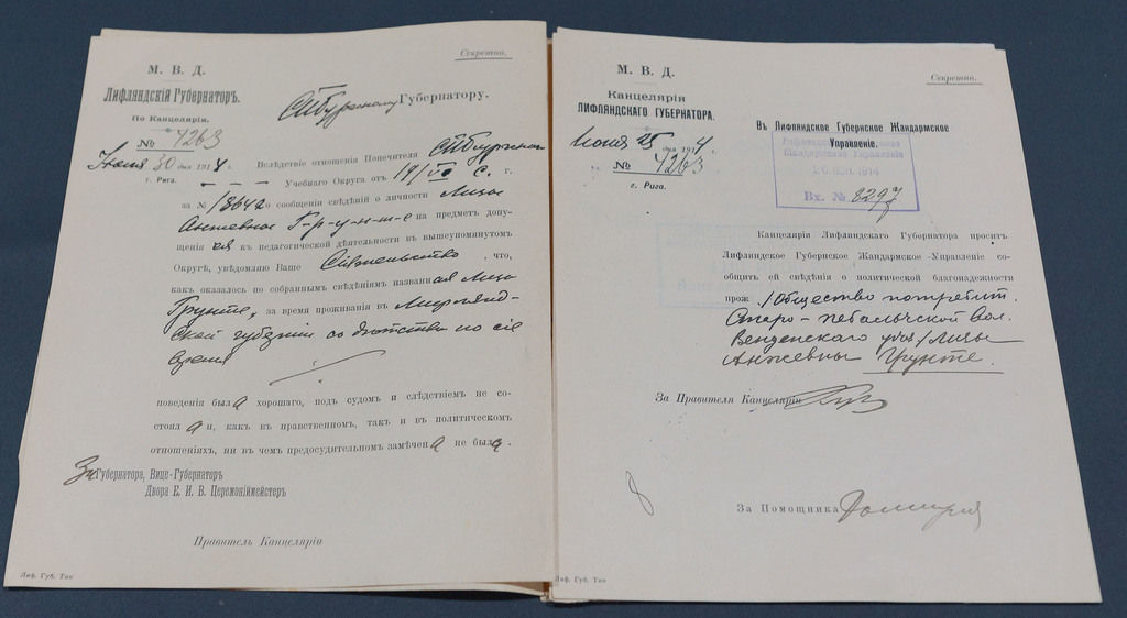  Документы Лифляндский Губернаторъ 1914.г.