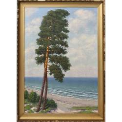 Sea view with pine trees