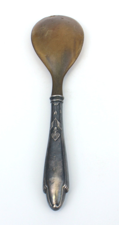 Serving spoon from a whale mustache with a silver handle