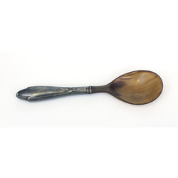Serving spoon from a whale mustache with a silver handle