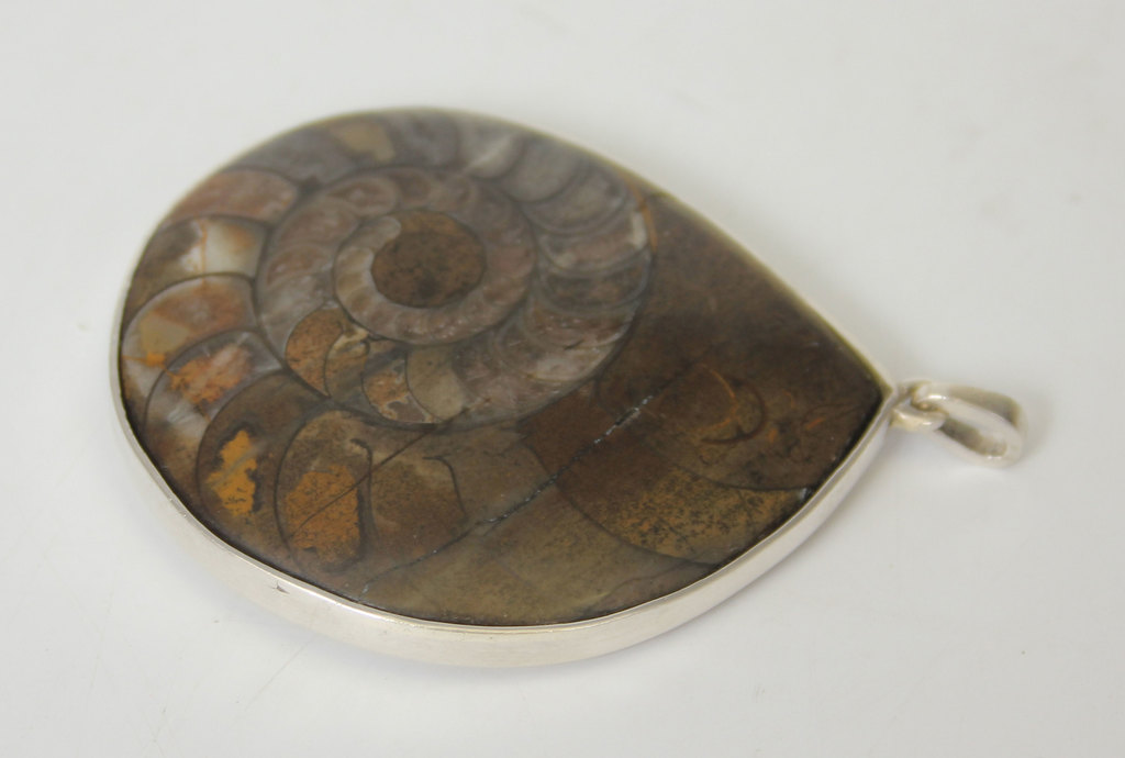 Sudraba kulons ar apmēram 400 miljonu gadu vecu Devona perioda gliemežu fosīliju jūras akmenī