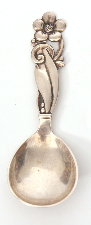 Silver spoon with ornament
