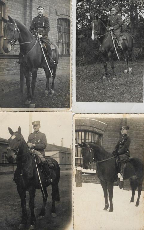 Cavalry Regiment (11 pcs.)