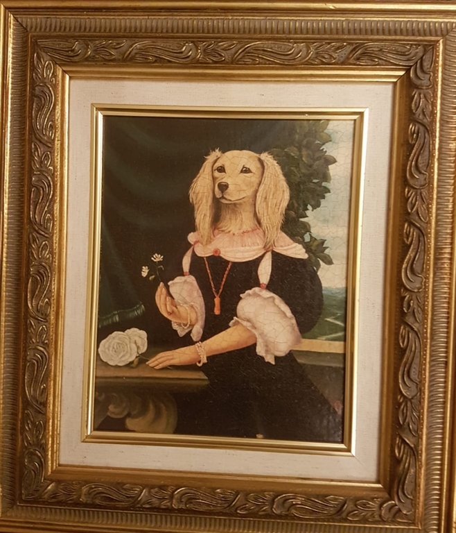 Suņa portrets