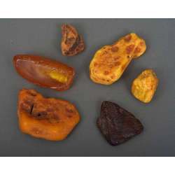 Baltic amber stones (6 pcs)