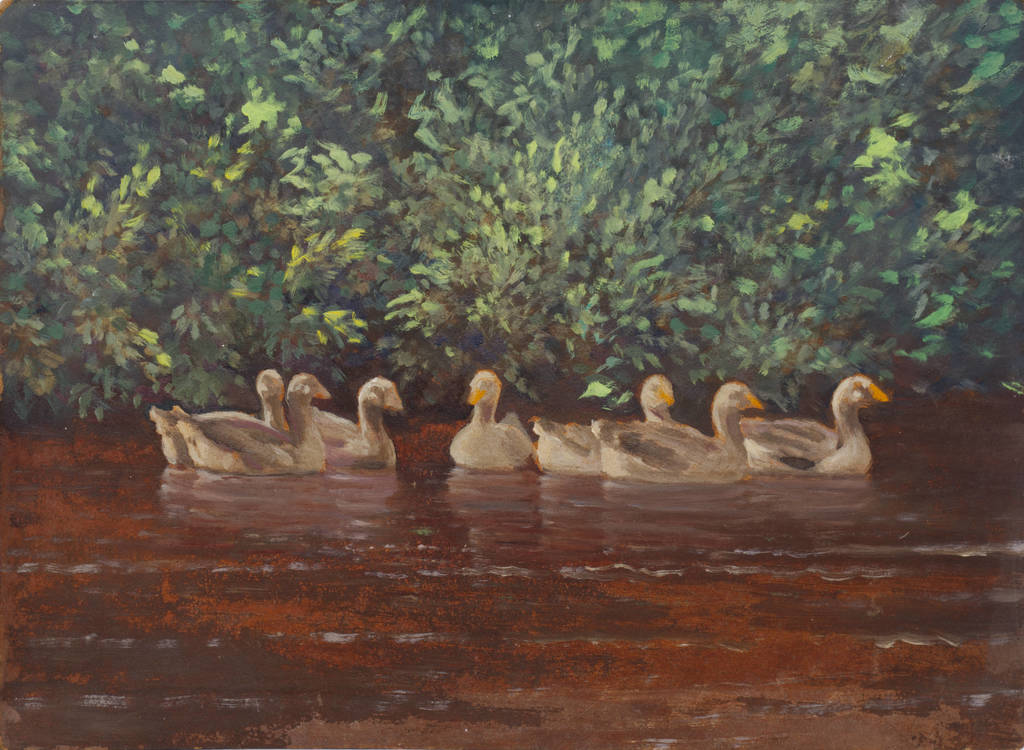 Landscape with ducks