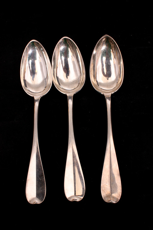 Silver spoons (3 pcs)