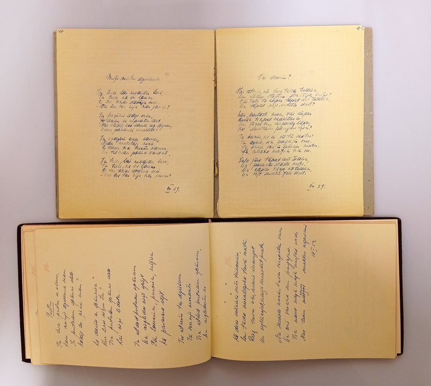 Aira Kalme ar roku rakstītas dzejas burtnīcas