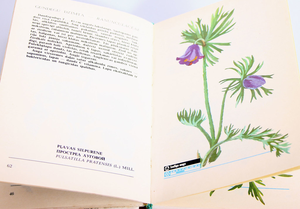 Книга «Познакомимся с Латвийскими растениями».