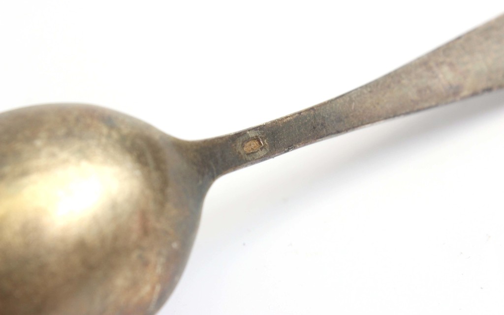 Two silver spoons with enamel