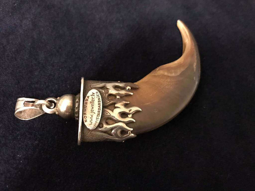 Pendant with a bears nail