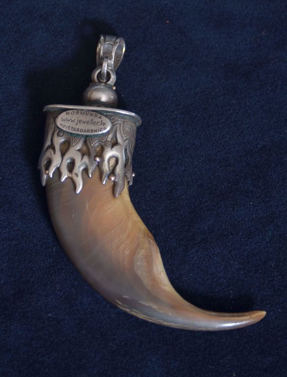 Pendant with a bears nail
