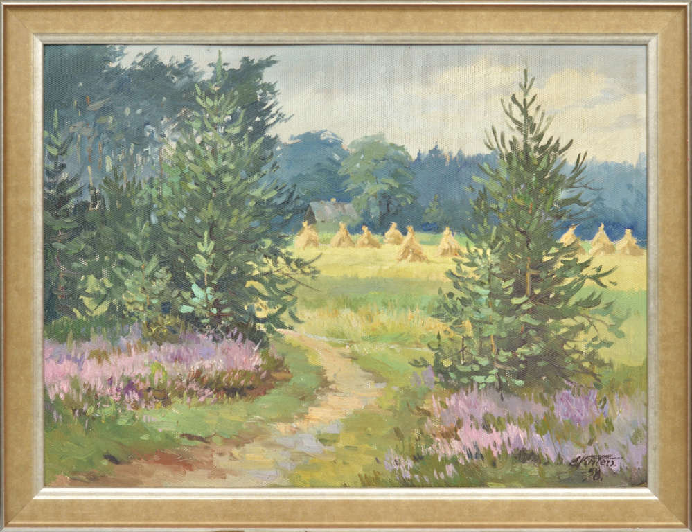 Landscape with spruces