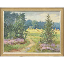 Landscape with spruces