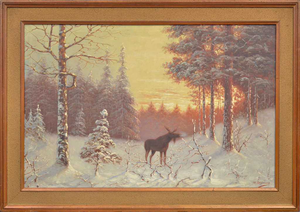 Elk at winter sunset
