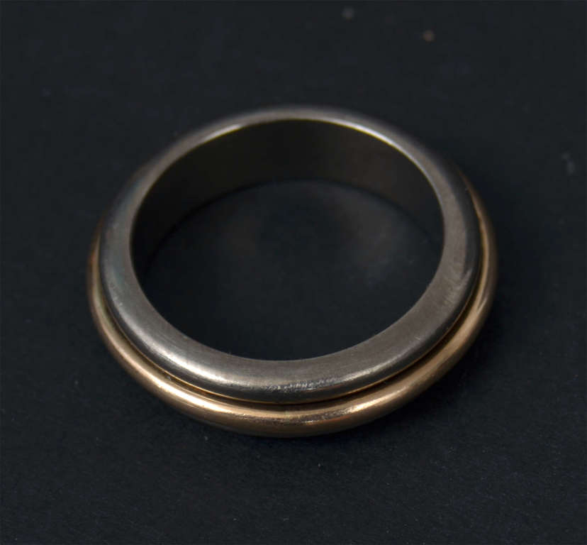 Titanium and gold ring