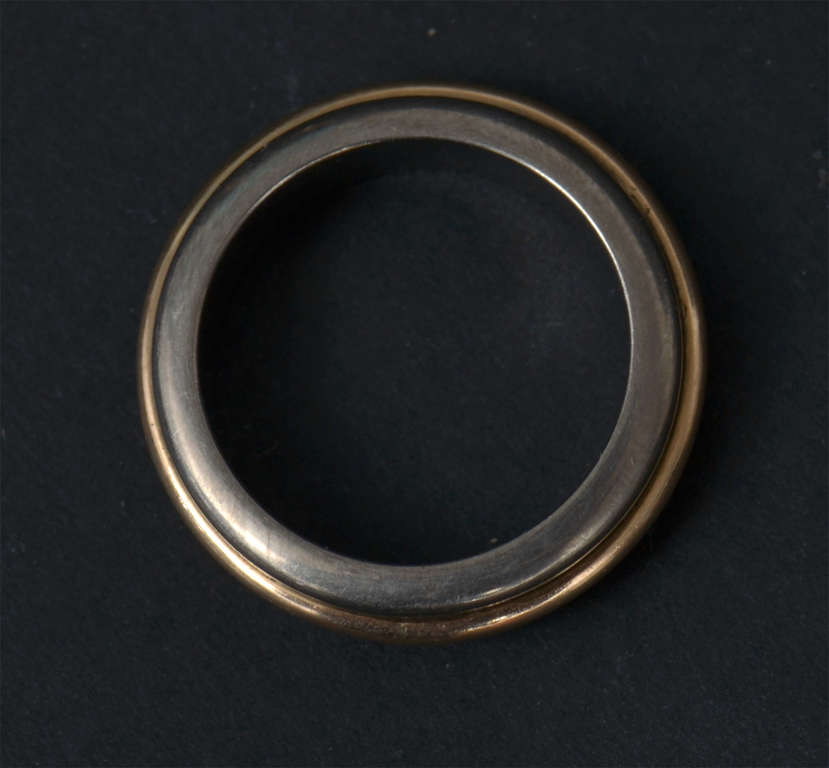 Titanium and gold ring