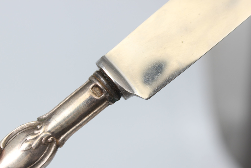 Набор ножей серебро / нержавеющая сталь (6 шт.)