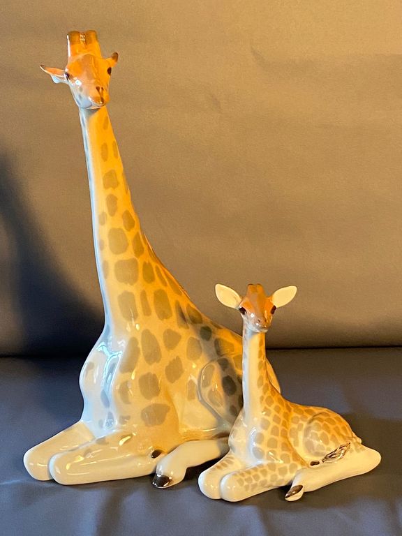 Divas Žirafes