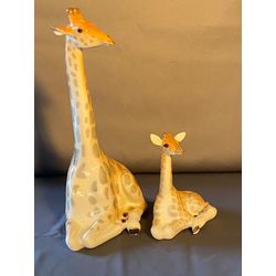 Divas Žirafes
