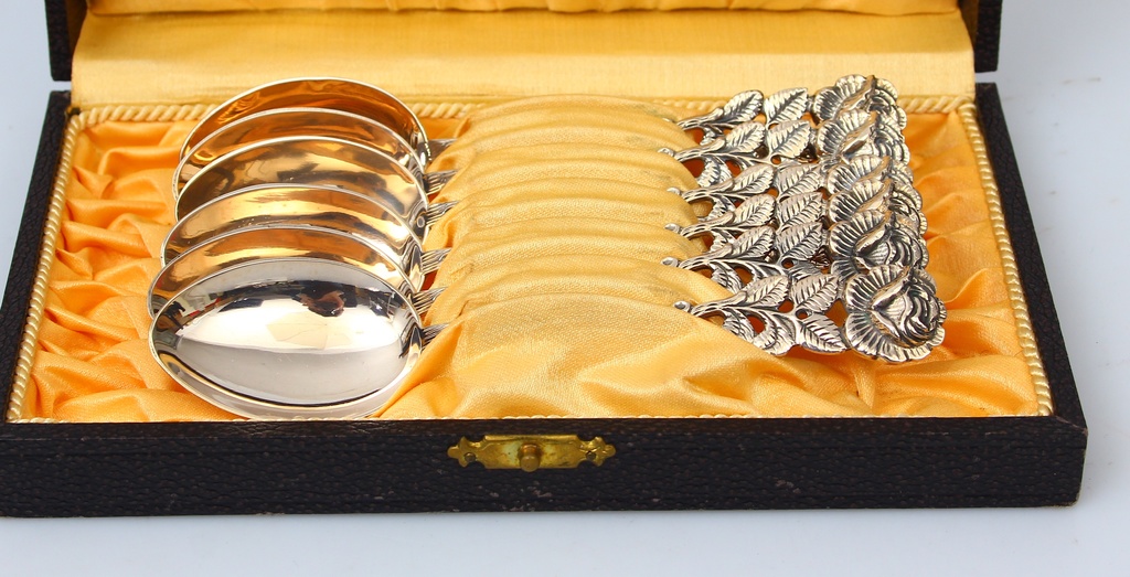 Silver spoon set (6 pieces) in the original box