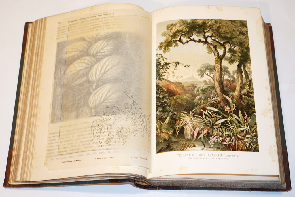 Жизнь растений, А. Кернера фонъ-Марилаунъ (Volume I, II)
