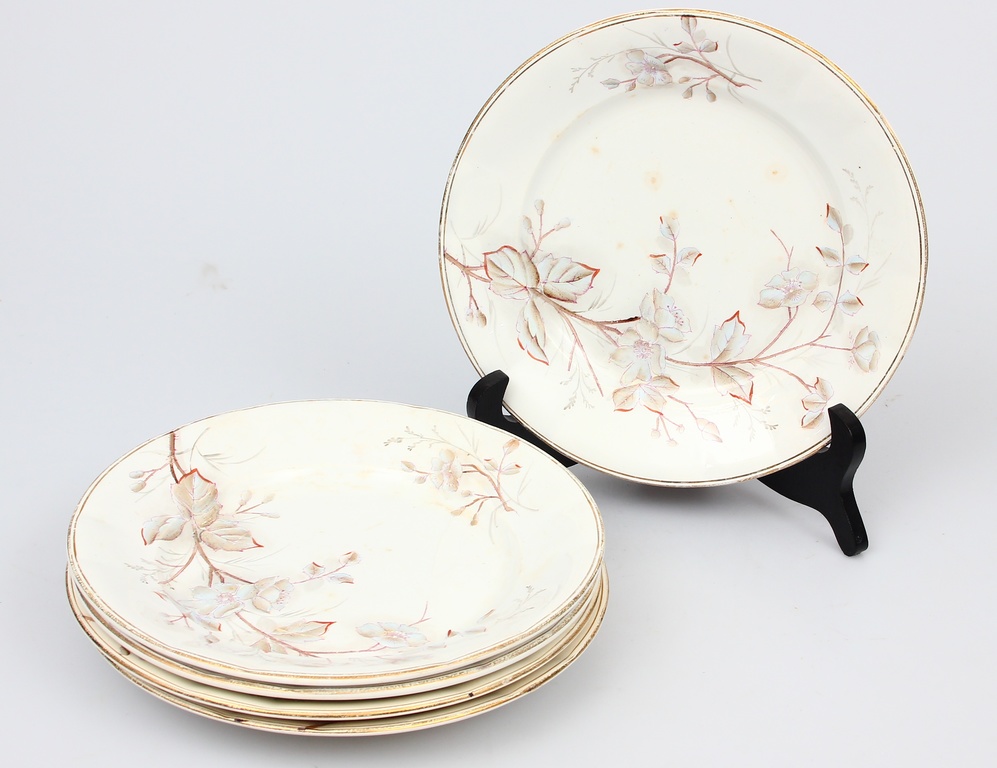 Porcelain plates 5 pcs