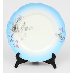 Фарфоровая тарелка с синим краем