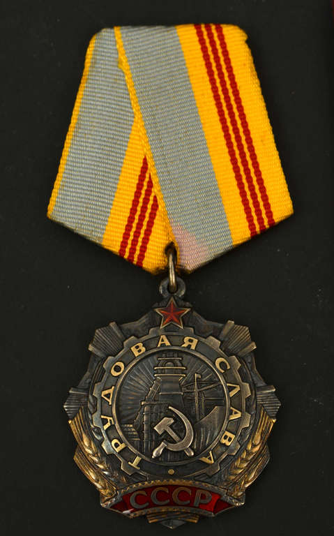 Award with the book ''Трудовая Слава''  (third degree)