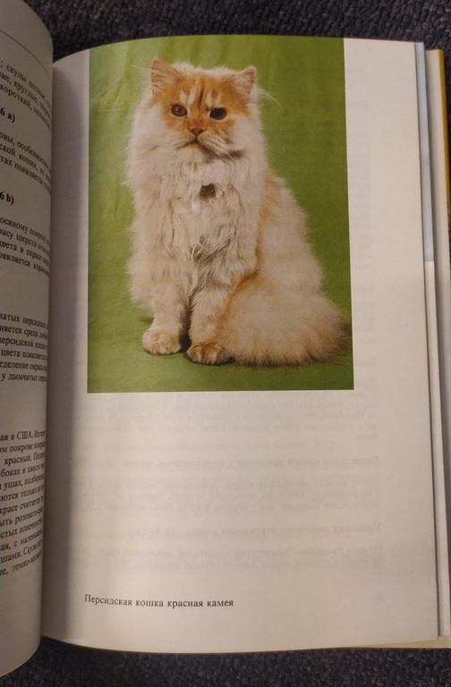 Book ''Атлас пород кошек''