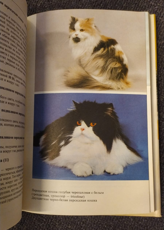 Grāmata ''Атлас пород кошек''