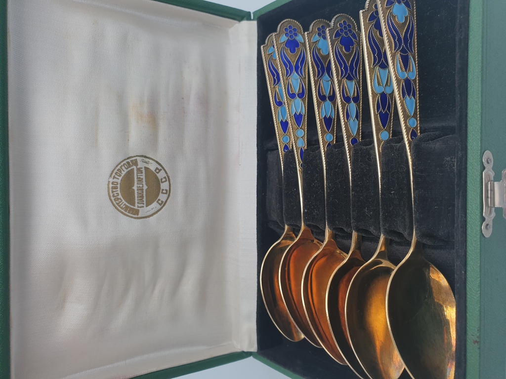 Silver spoons (6 pcs) in a green box