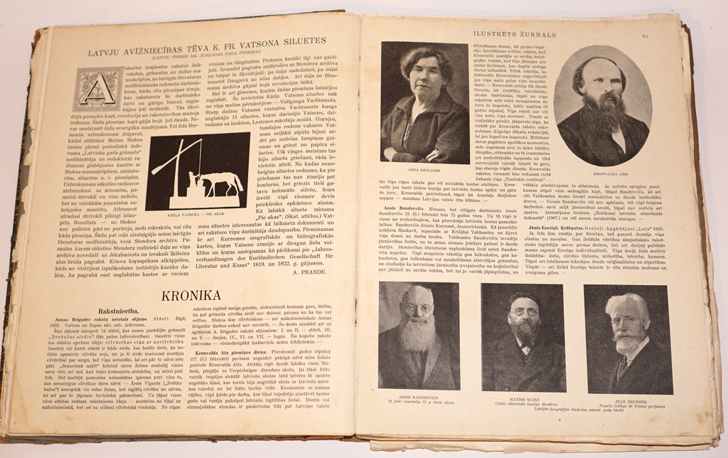 Иллюстрированный журнал 1925 г. №1-№12