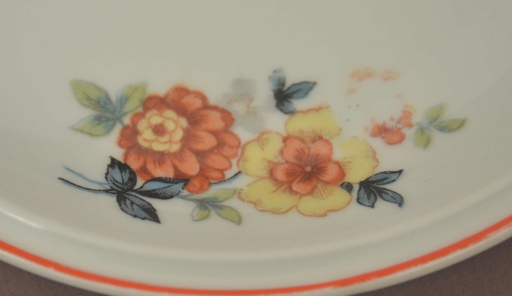 Porcelain plates (5 pcs)