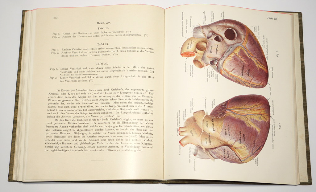 Lehmann's Medical Atlantean (Volumes I-III)