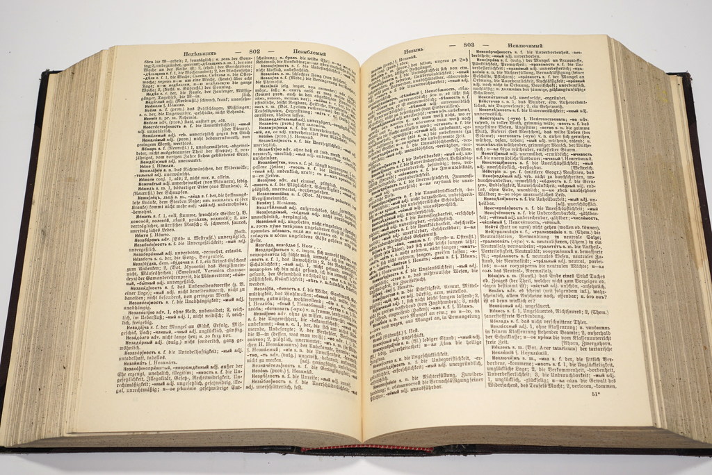 Русско-ньемецкий словарь (2 gab)