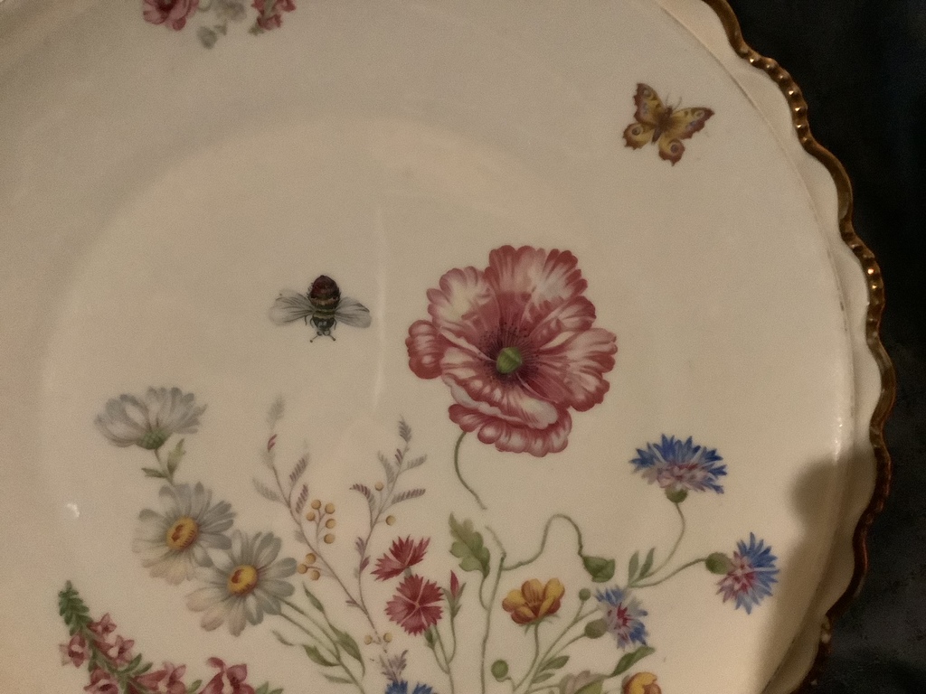 Large porcelain dish.Winterling.Hand-painted.Buffet storage.31 cm