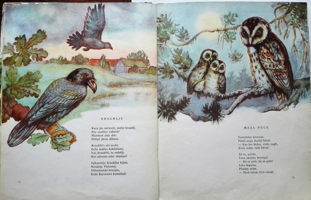 Синичка, циничка, где твои дети?, Латвийское государственное издательство, 1959, 50 страниц, 45 см x 29 см 