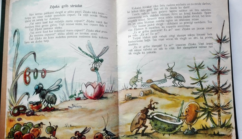 Zīļuks, M. Stāraste, Latvian State Publishing House, 1961, 32 pages, 45 cm x 29 cm 