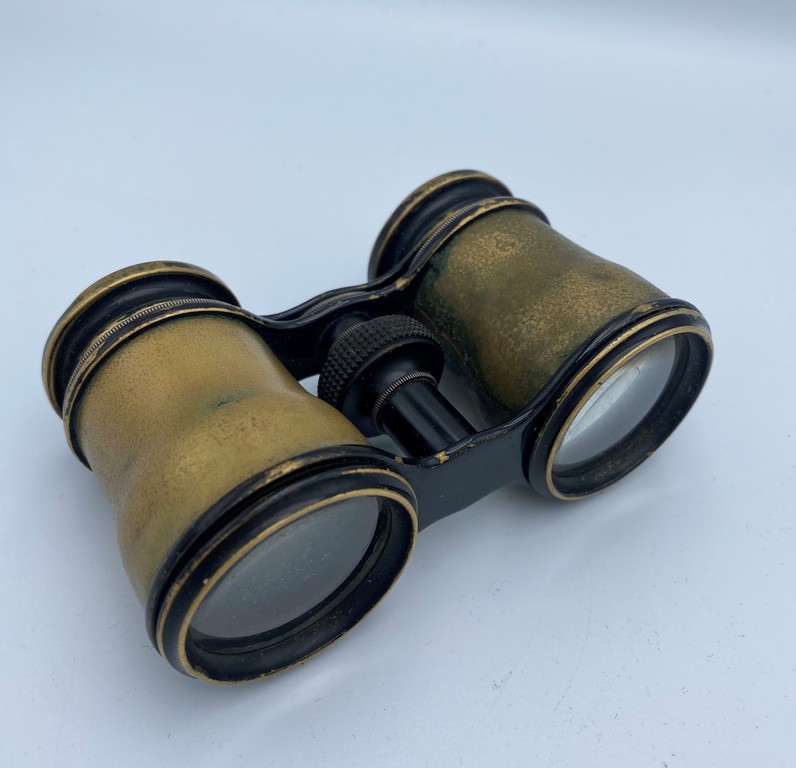 Binoculars with a case