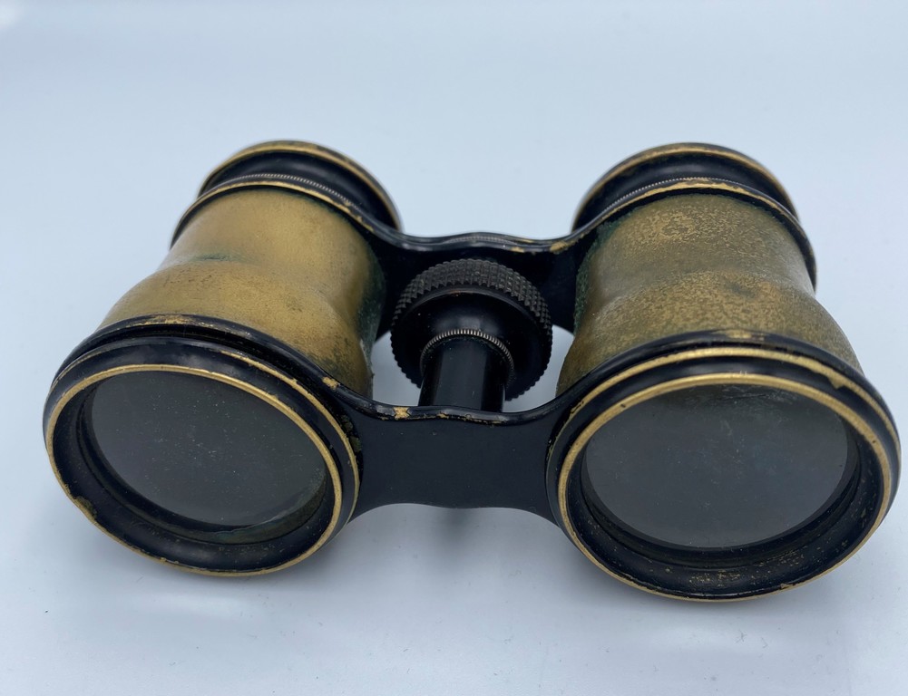 Binoculars with a case