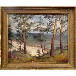 Landscape with trees and the sea