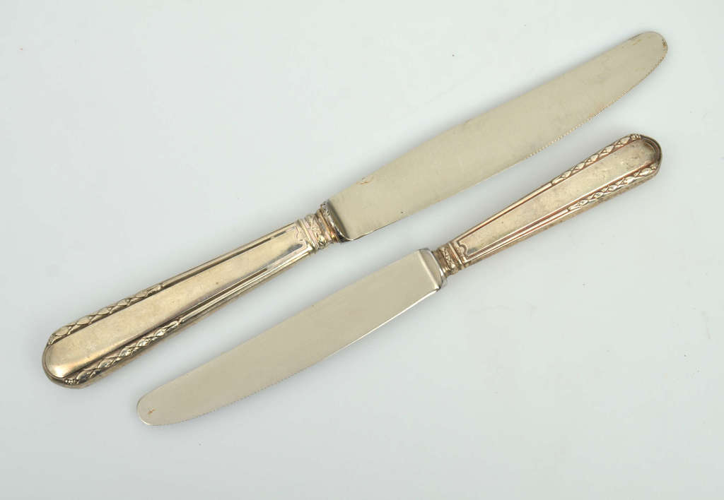 Набор серебряных ножей с металлическим лезвием (12 шт.)