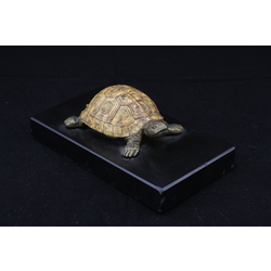 Paper holder with a turtle