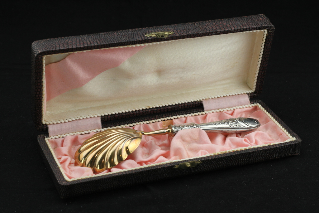 Gilded serving spoon with silver handle in a box