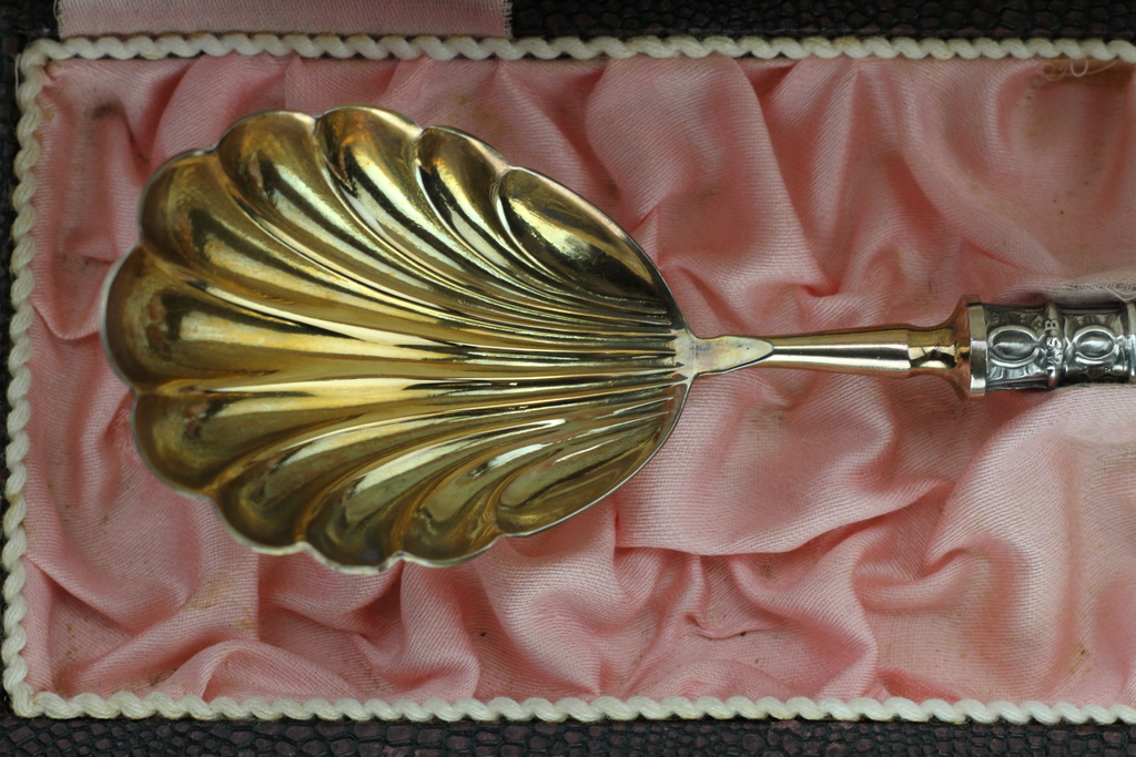 Gilded serving spoon with silver handle in a box